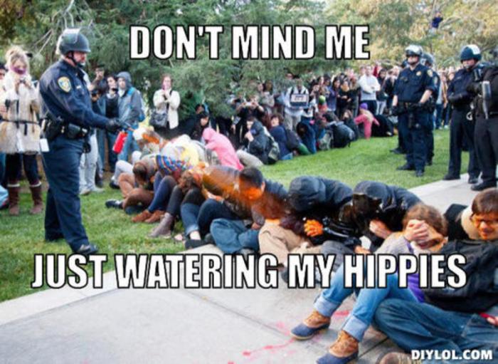 resized_wateringhippies-meme-generator-don-t-mind-me-just-watering-my-hippies-87594f